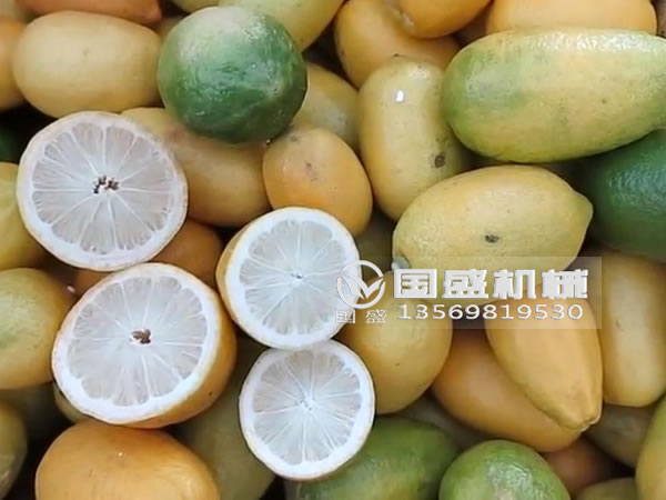 檸檬壓榨機(jī) 檸檬壓榨機(jī)